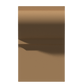 Wood Molding