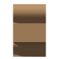 PM-040