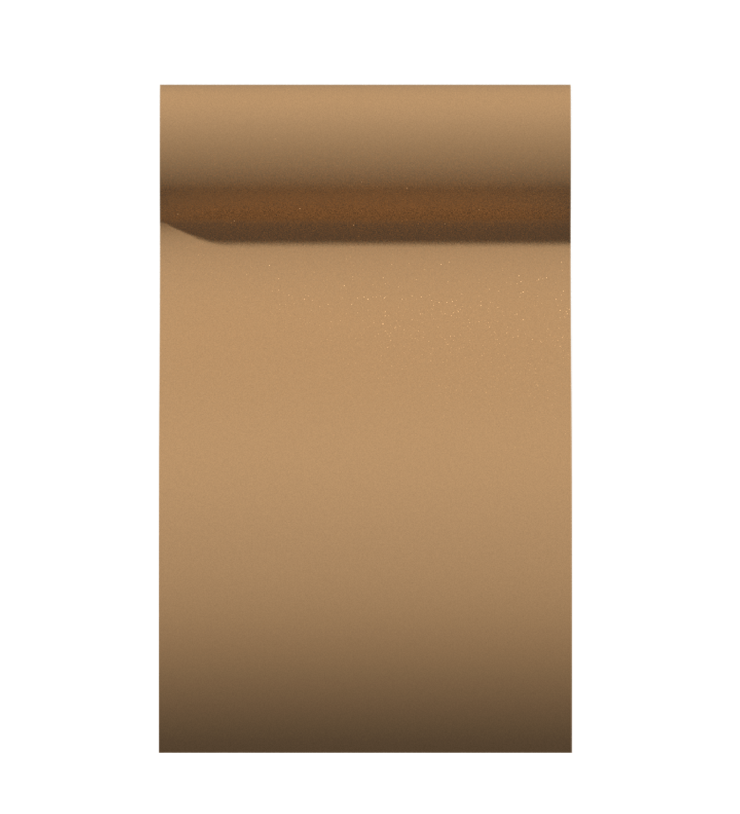 PM-081