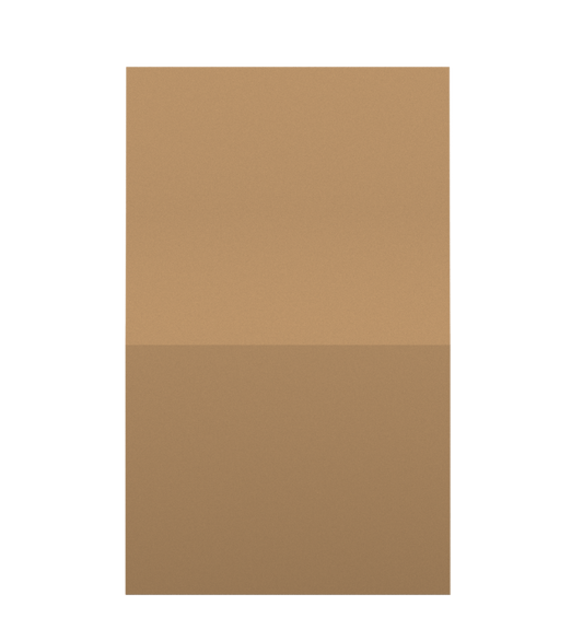 SS-005