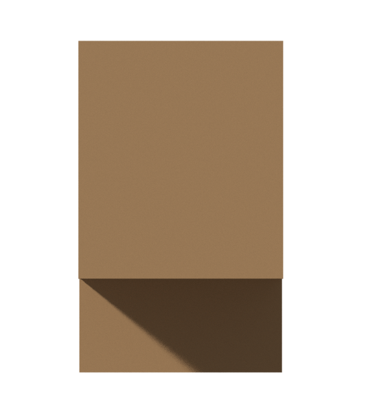 WS-009